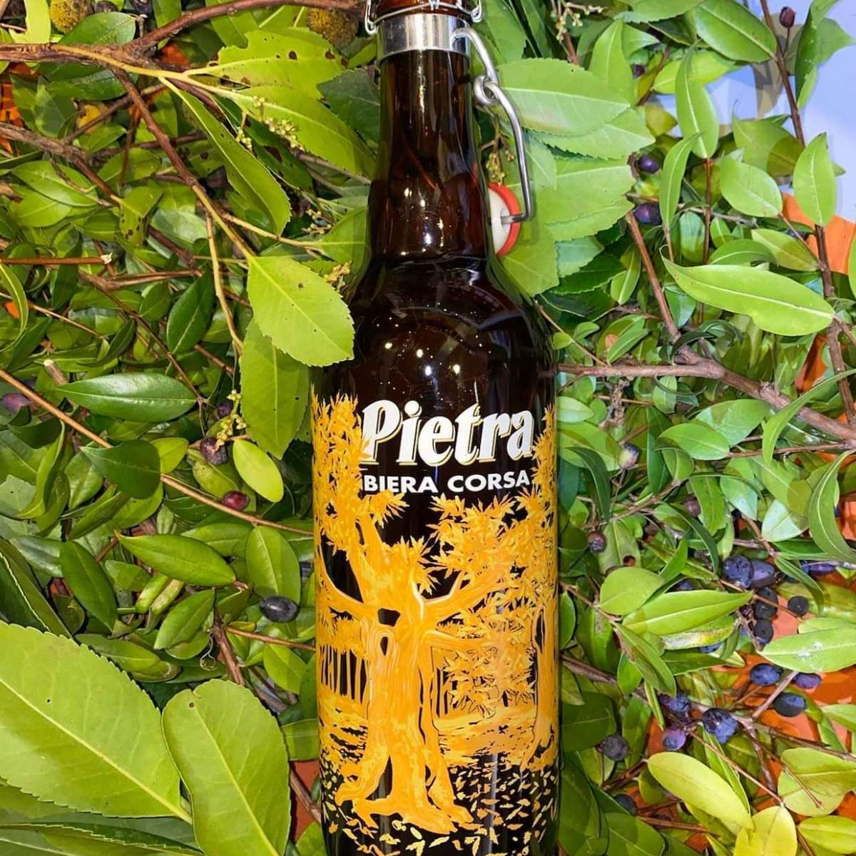 Bière PIETRA - Série LIMITÉE "BUCUGNA" 75cl