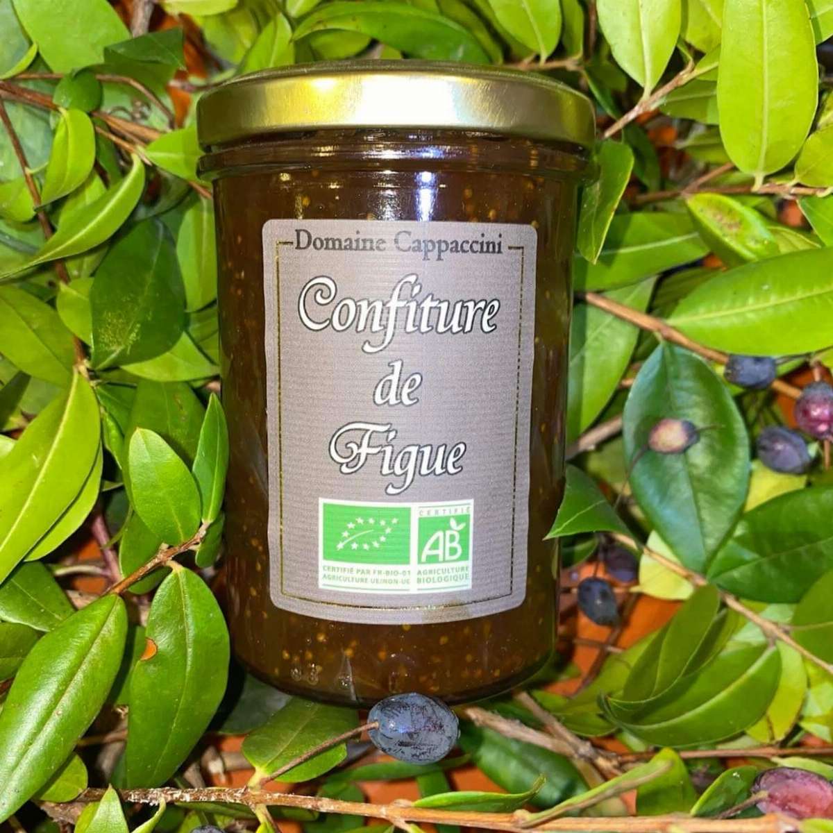 Confiture de Figue BIO - Domaine Cappaccini