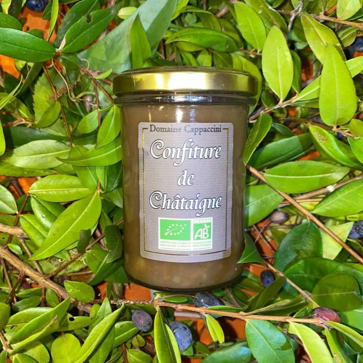 Confiture de Châtaigne BIO - Domaine Cappaccini