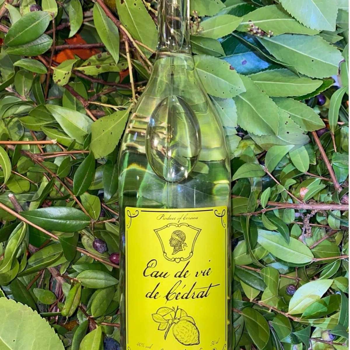 Eau de Vie de Cédrat - CASA ANGELI