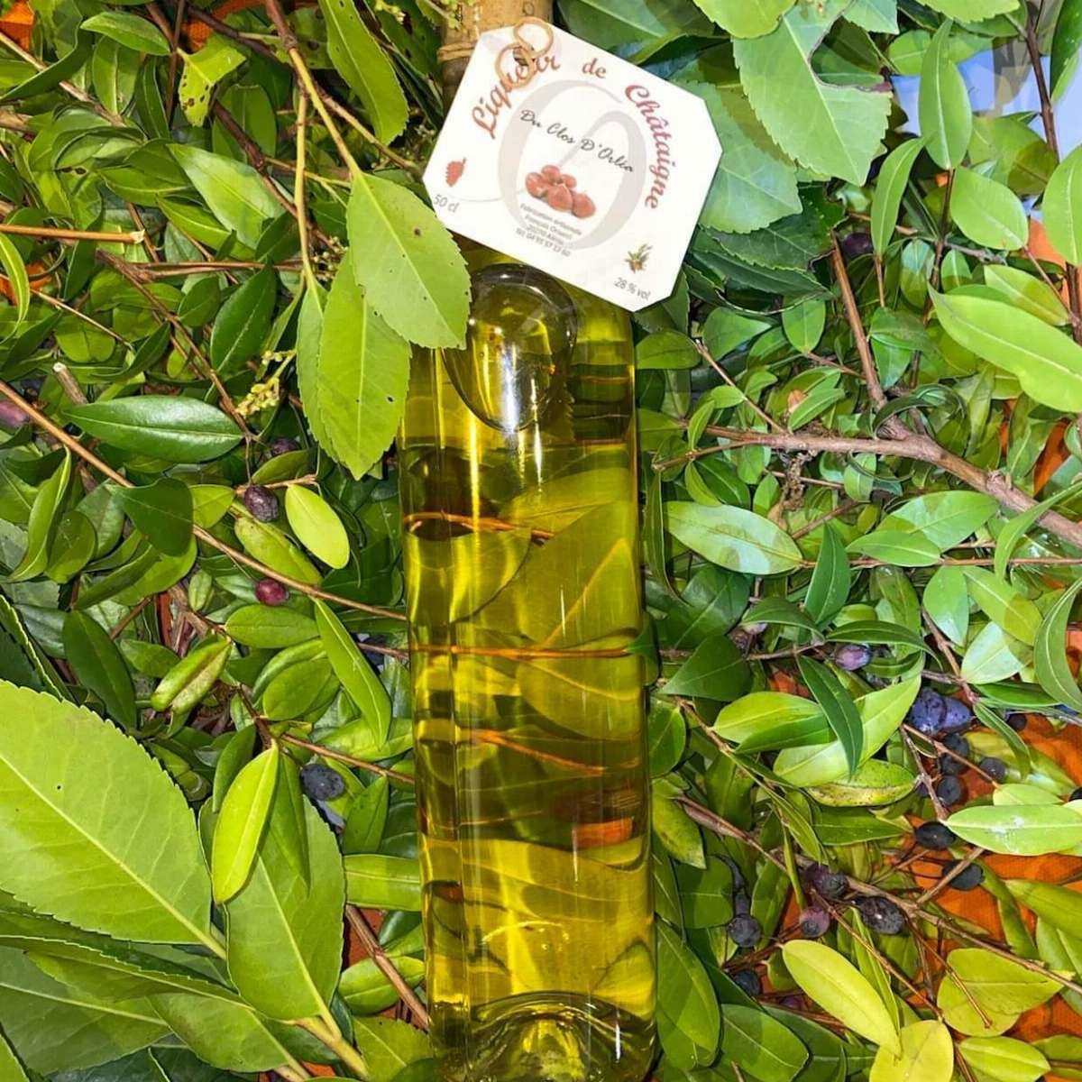 Liqueur de Châtaigne - Du Clos d'Orléa - 50cl