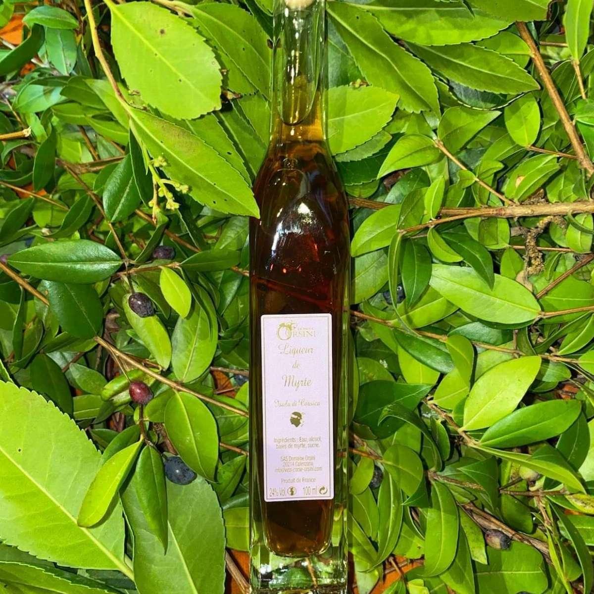 Liqueur de Myrte - Domaine Orsini