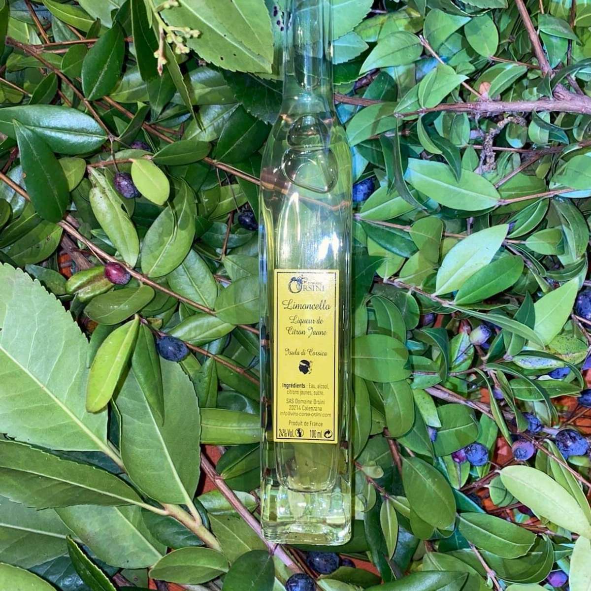 Limoncello - Liqueur de Citron jaune - Domaine Orsini